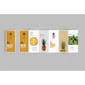 Folheto profissional de marketing de seis vezes