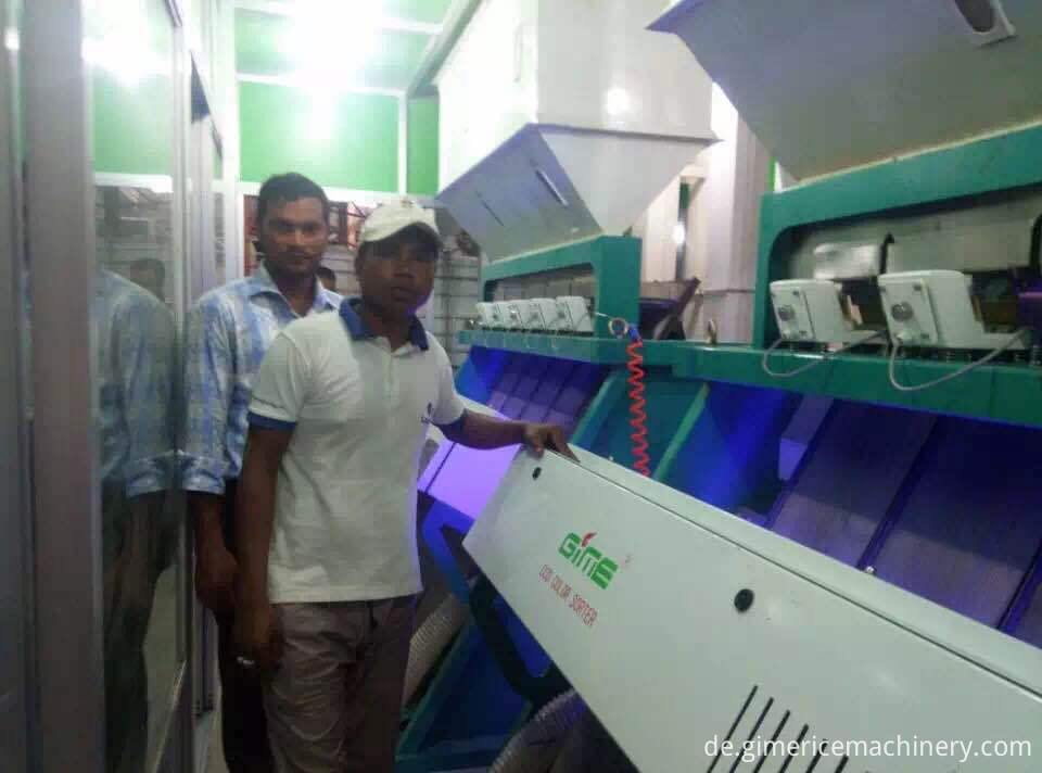 Color sorters in Bangadesh