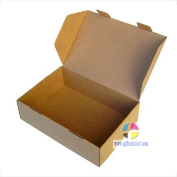 Carton Box/ Paper Box/ Cardboard Box (FC-W-0088)