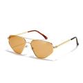 Wholesale metal glasses double bridge cat-eye vintage sunglasses popular large framed sunglasses