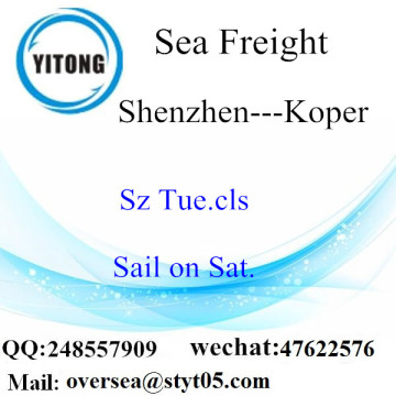 Shenzhen Port LCL Consolidation à Koper