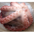 Octopus congelato intero pulito da tipo di fiore di fiore