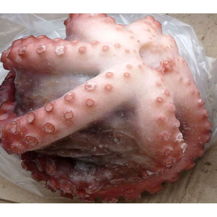 Ganzes gereinigtes gefrorenes Tintenfisch nach Typ Blume Octopus