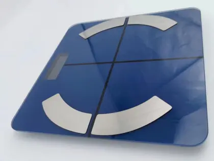 Electronic Health Household Body Fat Scale