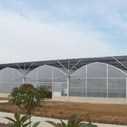 Agriculture Farm GreenHouse /Flower Hydroponics Greenhouse