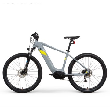 Vélo électrique sportif adulte abordable