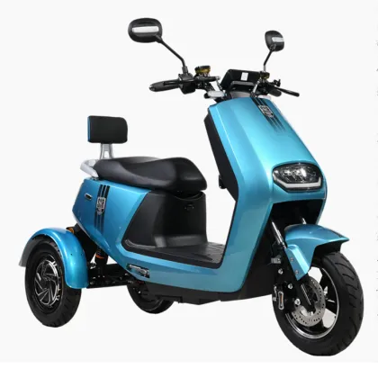Electric Vehicles for Elderly Leisure: Scooters, Trikes, and More