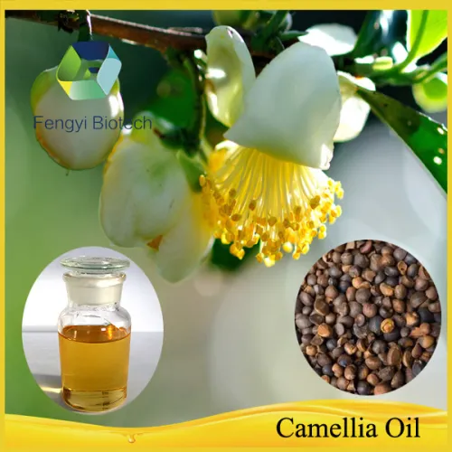 Crude Vegetable Oil/camellia Oil Bulk Prices, High Quality Crude Vegetable Oil/camellia Oil Bulk