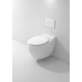 White Finish Wall Hung Water Closet Toilet