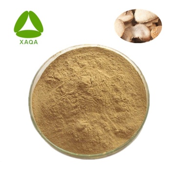 10:1 Thunberg Fritillary Bulb Extract Powder