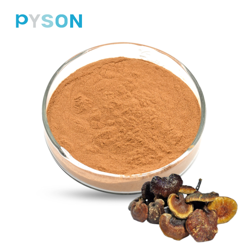 herbal lingzhi reishi mushroom spore powder