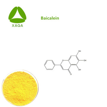 Scutellaria Baicalensis Extract Baicalein 98% Powder Price