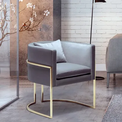 New Fashion Color Julius Arm Chair Dining Chair