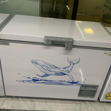 Commercial Single Door Beverage Cooler and Glass Door Refrigerator with Freezer