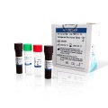 Multiplex Real Time PCR Kit for Carbapenem Resistance Gene