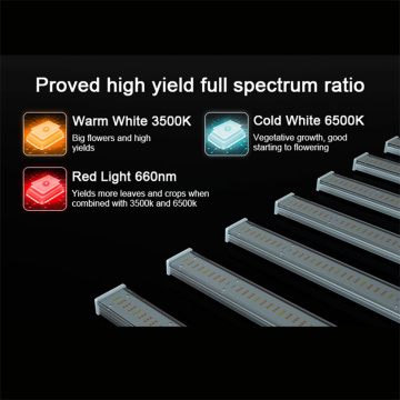 Yüksek güçlü 1200W Grow Light LED tam spektrum