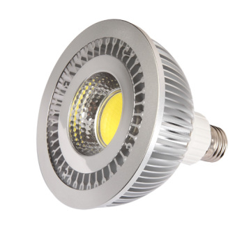 LED Spotlights PAR30, 10W/850lm Dimmable PAR30