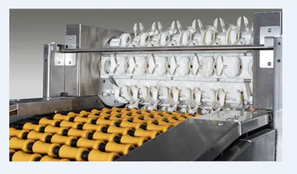 Hot Product: Egg Grading Machine and Packer for Poultry Farms and Egg Processing Industry