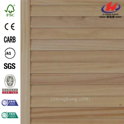 PVC Partition Acrylic Interior Folding Shower Doors