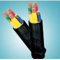 BS6346 Cable de control Negro