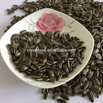 raw sunflower seeds black sunflower seeds chinese sunflower seeds