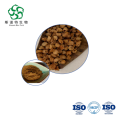 Bulk Longan Extract 10:1 Powder for Immune Support