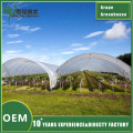 Канструкцыя і будова вінаграднай цяпліцы