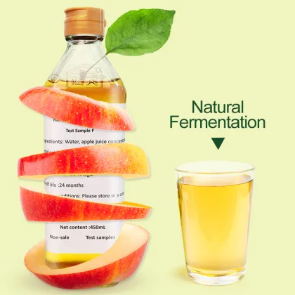 Haitian Fruit Vinegar Seasoning - 450ml Glass Packaged Apple Cider Vinegar