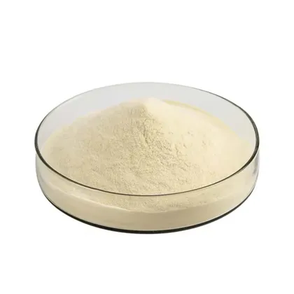 Natural Supplement Garlic Extract Allicin 25% Powder