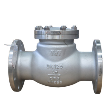 Stainless Steel Swing Check Valves: Differentiating Between SS304 and SS316
