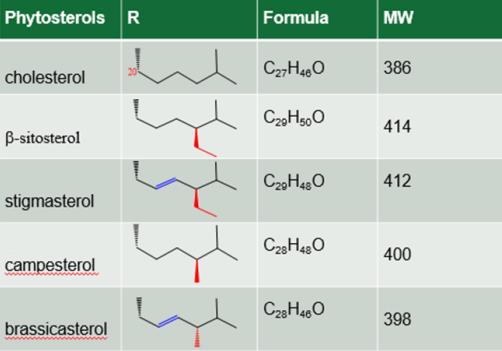 structure of phytosterol and cholesterol
