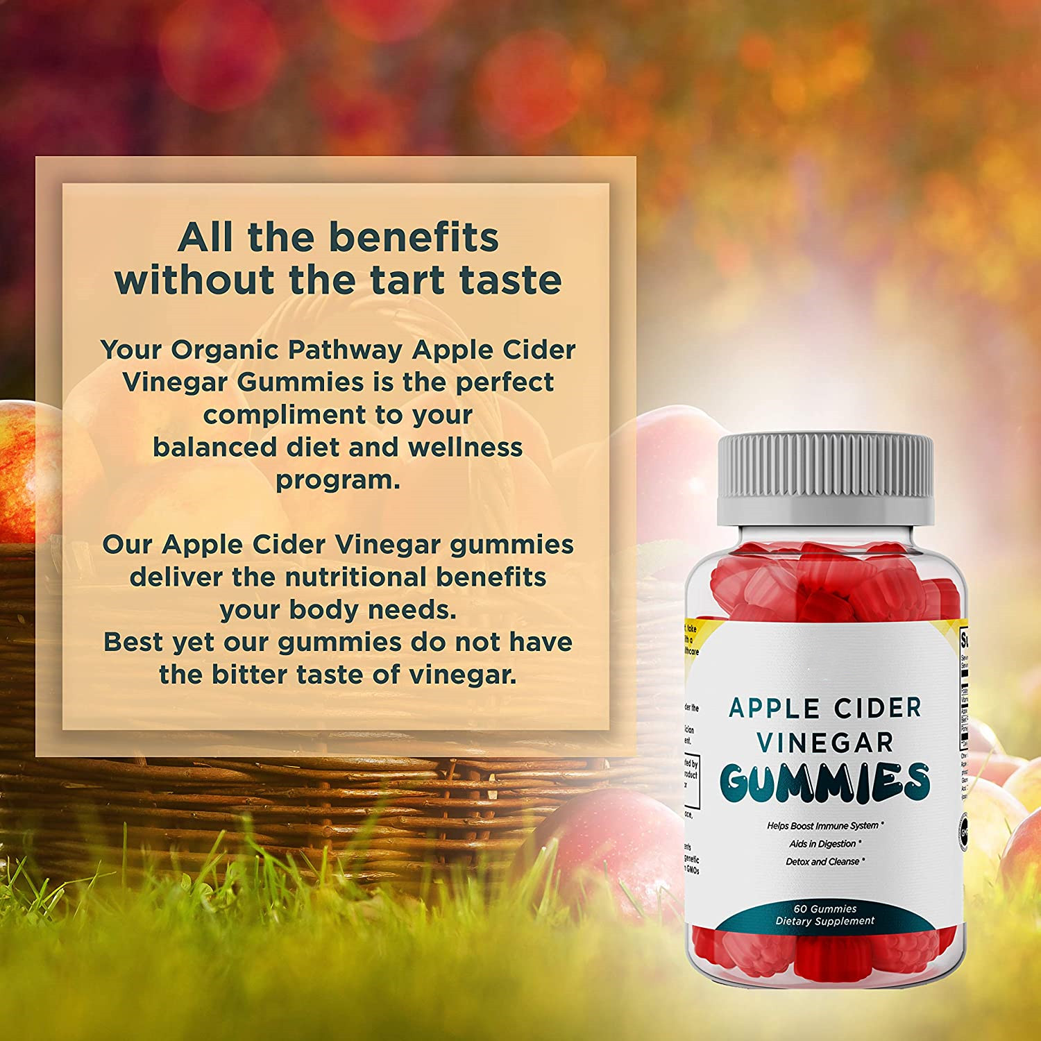 OEM/ODM Pure organic ACV vitamin gummies detox weight loss apple cider vinegar Gummies