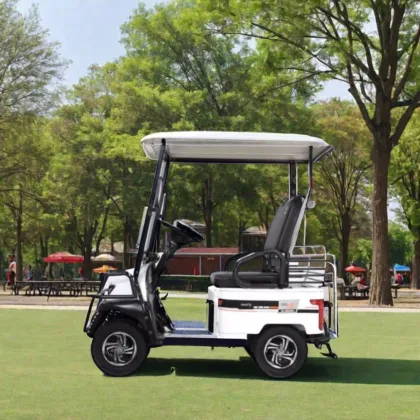High Performance Electric Golf Cart Batteries and Vehicles: Boosting Your Golf Experience