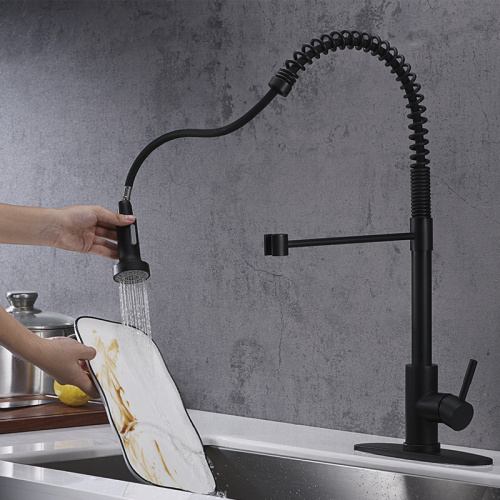 Single Handle Kitchen Faucet Matte Black Mixer