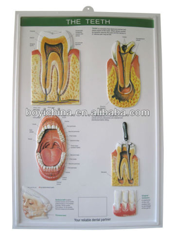 Teeth design PVC embossed poster 3D picture