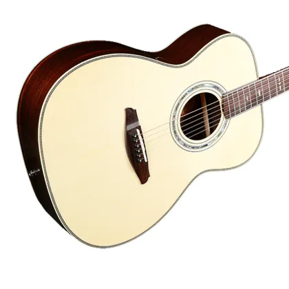 Stratocaster Musical instruments acoustic electric guitar