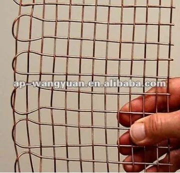 Phosphor Bronze Wire Mesh(factory)