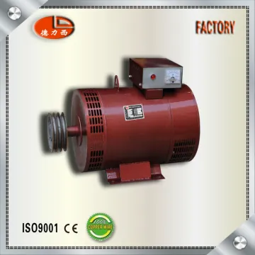 Delixi 100% Copper Wire ST Single Phase AC Alternator Generator