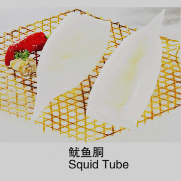 squid tube