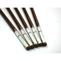 Dupont™Vespel®SP-1 ROD NATURAL