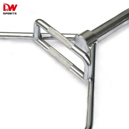 Hex Barbell for High Strength Training: Weight Lifting, Squats, and Shrug Exercises