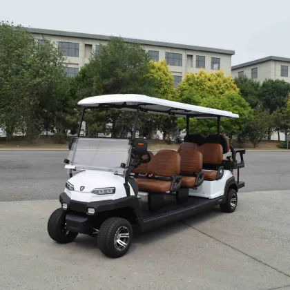 8-seater pure electric golf cart
