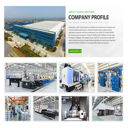 DANAU 6.6KW 3400PSI High Pressure Gas Water Cleaner