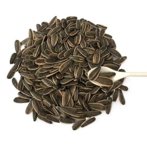 Online Seeds Of Sunflower Seeds For Sale