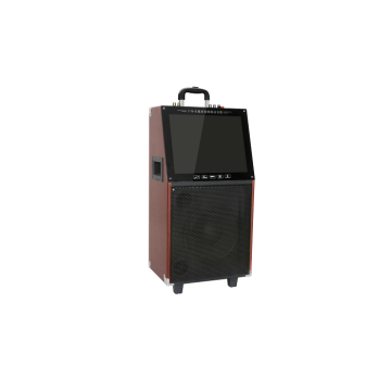 High power wooden rechargeable Led Display Trolley Speaker