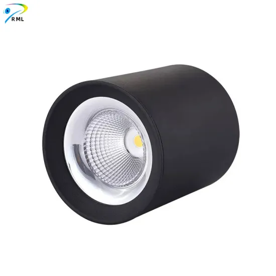 Commercial Hotel Project Spot 12W Ceiling Down Light