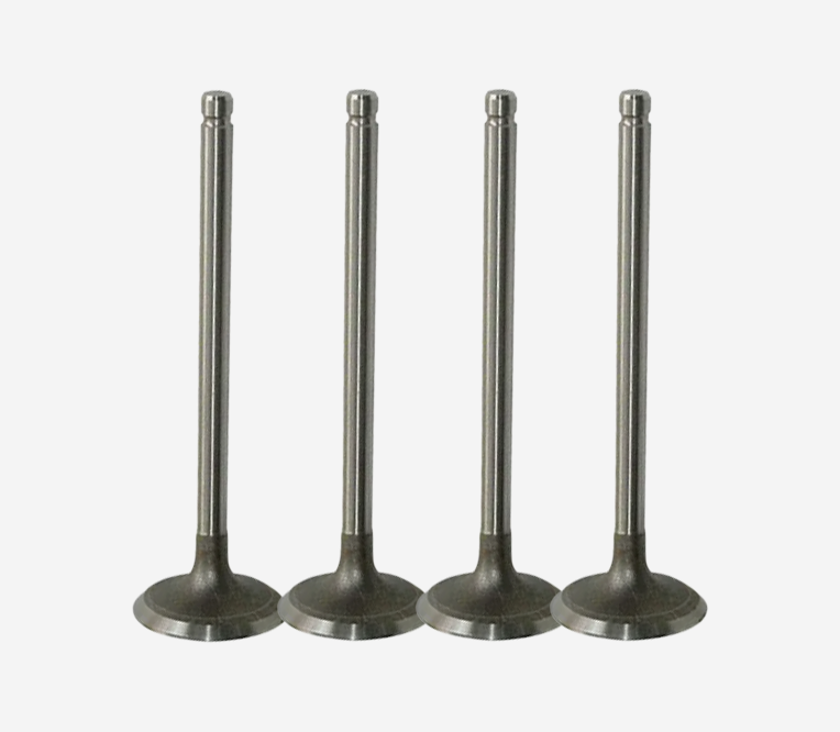 Intake Valve 1886246 for Engine
