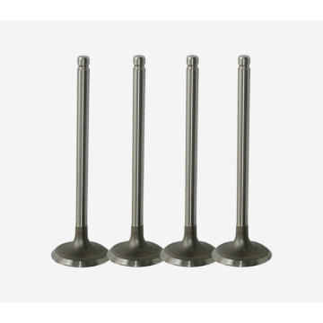 Intake Valve 1886246 for Engine