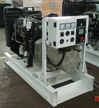 Industry Using 25kw Lovol Diesel Generator Set