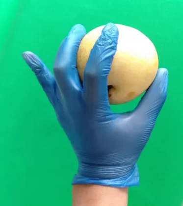 Cooking Food Gloves